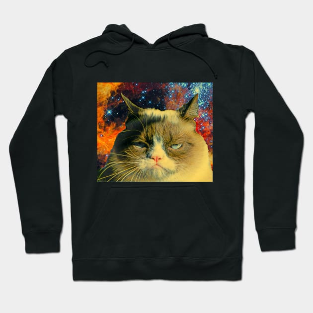 funny cat space t-shirt Hoodie by Serious_cosmic_cats 